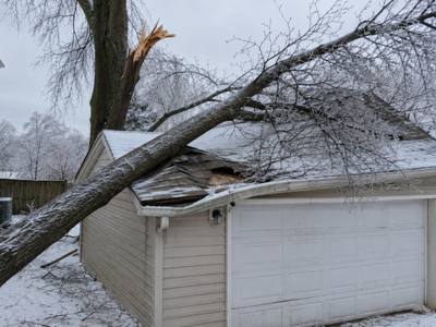 Storm-thrown tree resting across the roof of a detached garage